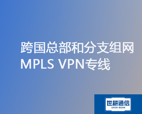 跨国总部和分支组网MPLS VPN专线？？？解决方案//世耕通信全球办公专网