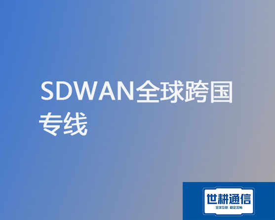 SDWAN全球跨国专线？？？解决方案//世耕通信全球办公专网