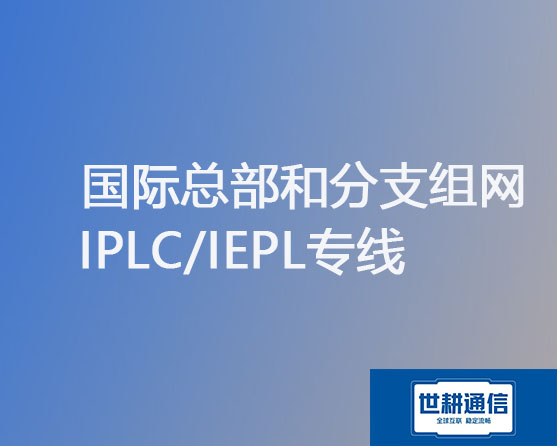 国际总部和分支组网IPLC/IEPL专线？？？解决方案//世耕通信全球办公专网