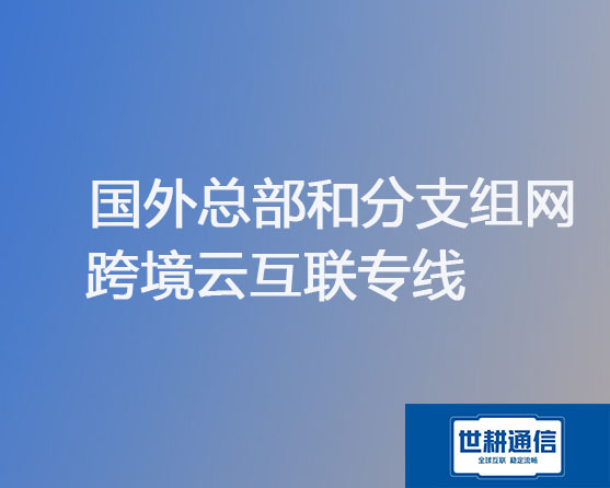 国外总部和分支组网跨境云互联专线？？？解决方案//世耕通信全球办公专网 