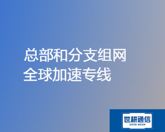 总部和分支组网​全球加速专线？？？解决方案//世耕通信全球办公专网