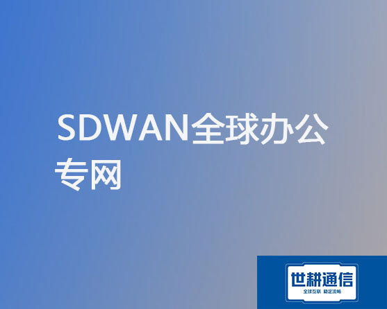 SDWAN全球办公专网？？？解决方案//世耕通信全球办公专网