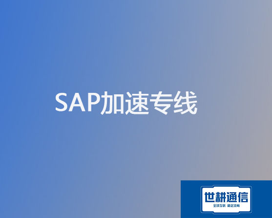 SAP ERP加速专线？？？解决方案//世耕通信全球ERP办公专网