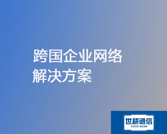 跨国企业办公系统专线组网解决方案？？？解决方案//世耕通信全球办公专网 