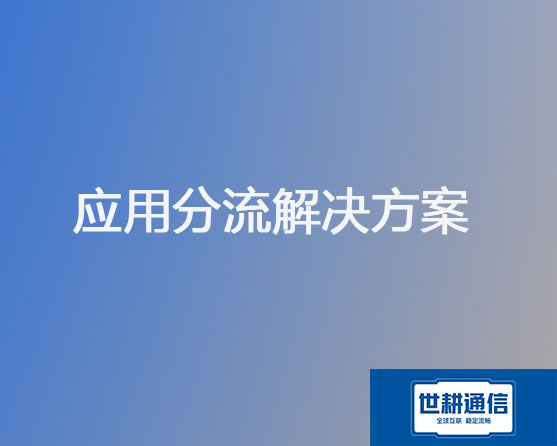 跨国企业办公应用分流解决方案？？？解决方案//世耕通信全球办公专网 