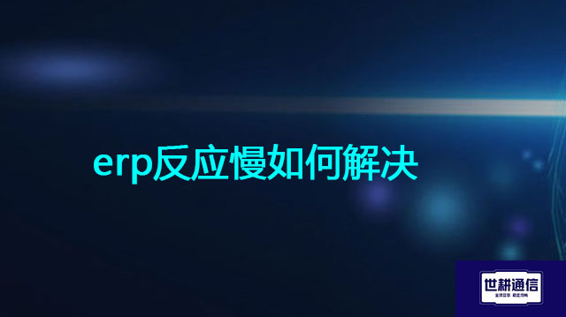 erp反应慢如何解决？？？解决方案//世耕通信全球办公专网 