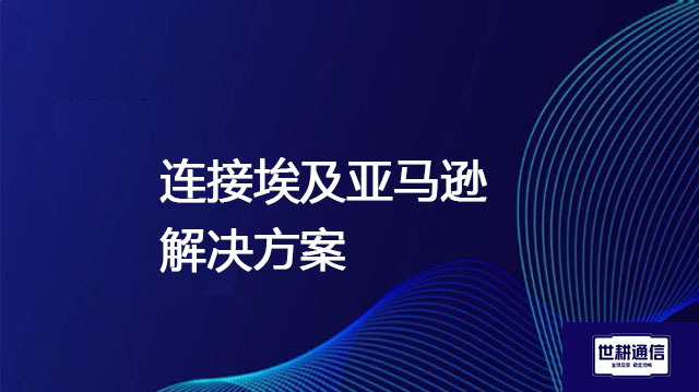 连接埃及亚马逊？？？解决方案//世耕通信全球办公专网 
