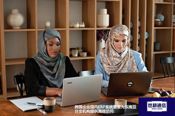 跨国企业国内ERP系统需要为东南亚分支机构提供高效访问？？？解决方案//世耕通信全球办公专网