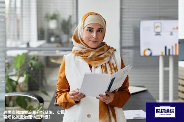 跨国专线部署流量分析系统，实现精细化流量治理转型升级？？？解决方案//世耕通信全球办公专网
