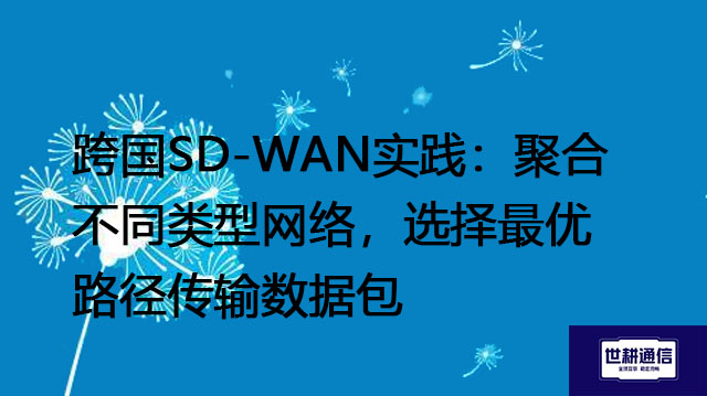 跨国SD-WAN实践:聚合不同类型网络,选择最优路径传输数据包???解决方案//世耕通信全球办公专网