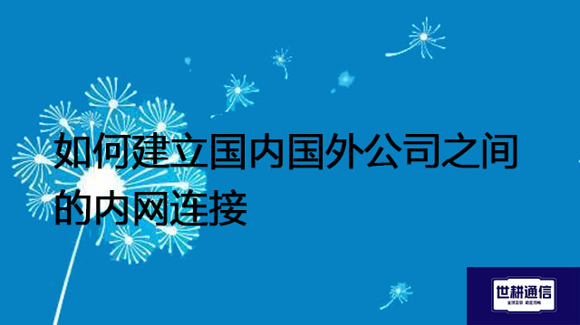 如何建立国内国外公司之间的内网连接???解决方案//世耕通信全球办公专网