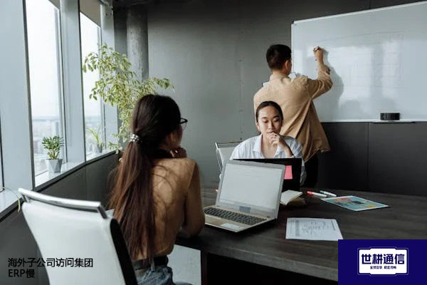 海外子公司访问集团ERP慢 .jpg 海外子公司访问集团ERP慢 .jpg