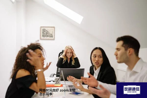 网络状况良好 zoom卡顿怎么回事？？？解决方案//世耕通信全球办公专网
