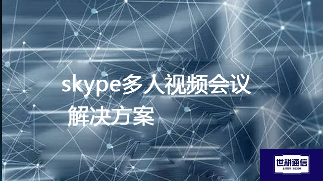 skype多人视频会议？？？解决方案//世耕通信全球办公专网