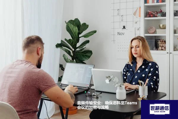 音频传输安全：确保思科至Teams会议的加密与流畅？？？解决方案//世耕通信Teams视频会议专网