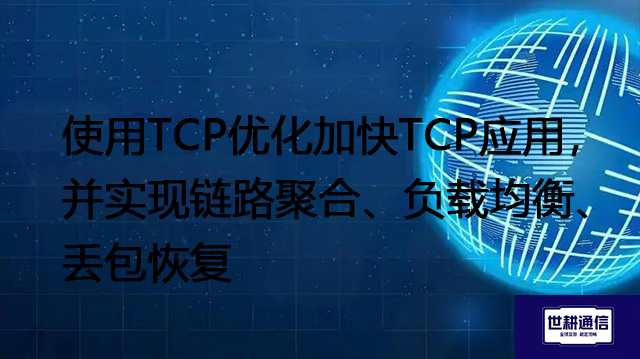 使用TCP优化加快TCP应用，并实现链路聚合、负载均衡、丢包恢复？？？？解决方案//世耕通信全球办公专网