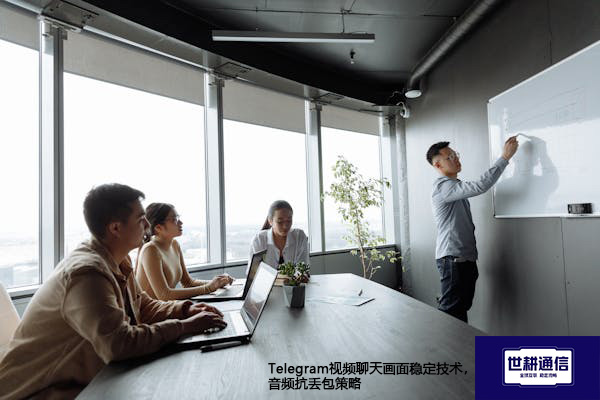 Telegram视频聊天画面稳定技术，音频抗丢包策略？？？解决方案//世耕通信全球办公专网