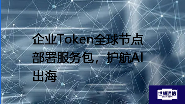 企业Token全球节点部署服务包，护航AI出海？？？解决方案//世耕通信全球办公专网